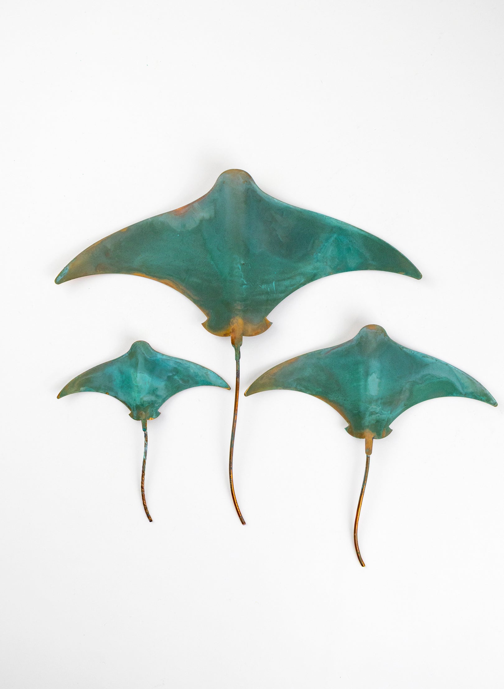 Stingray - Set of 3