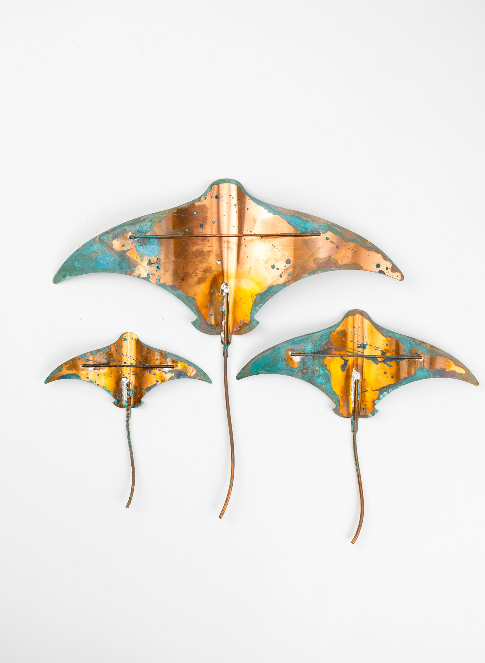 Stingray - Set of 3