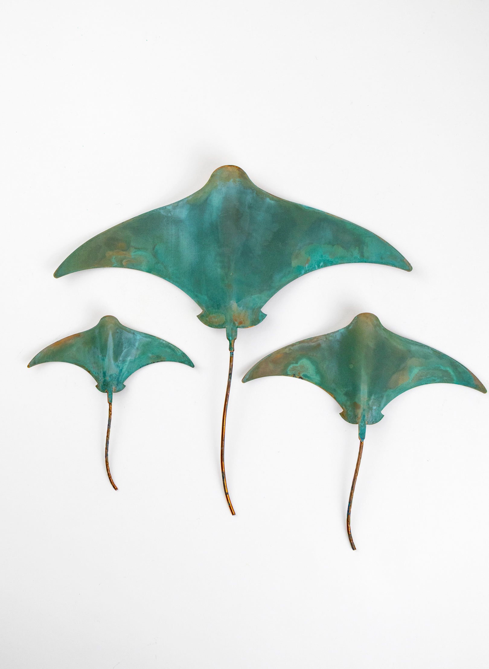 Stingray - Set of 3