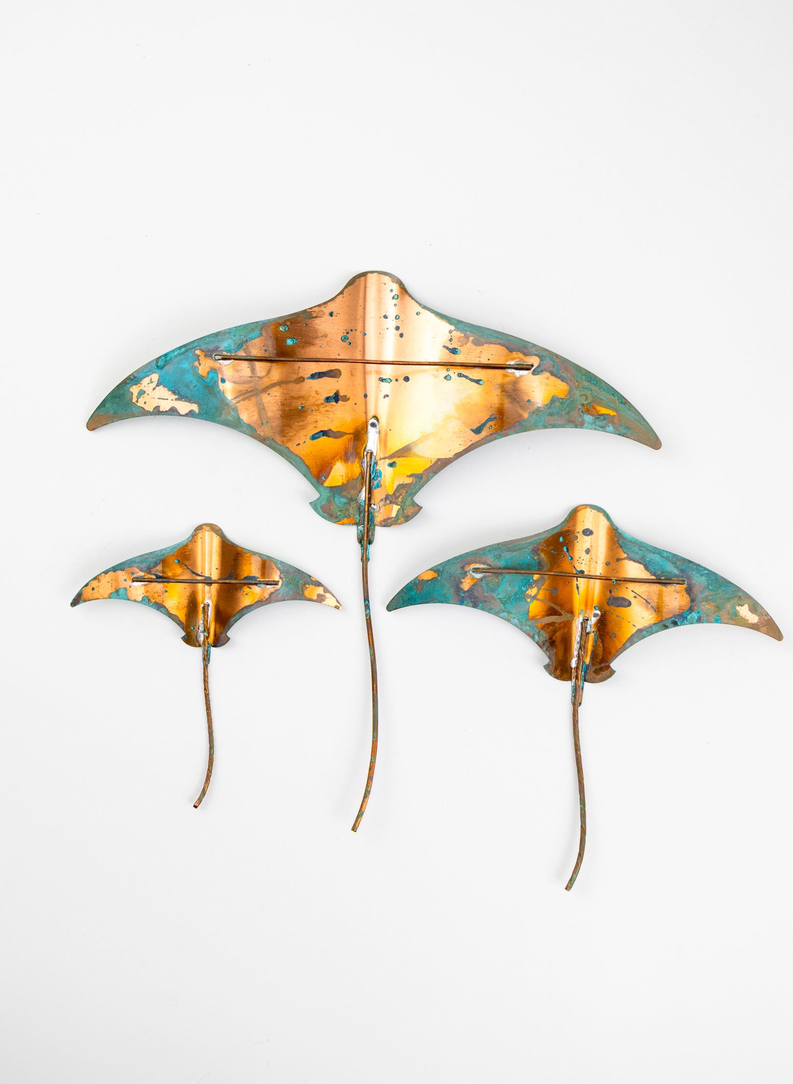 Stingray - Set of 3