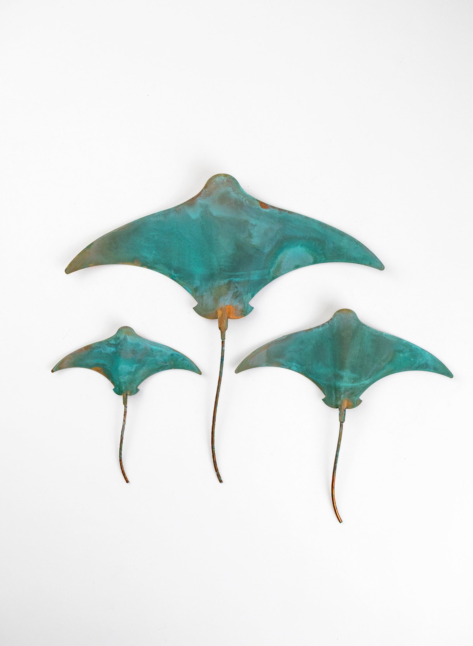 Stingray - Set of 3