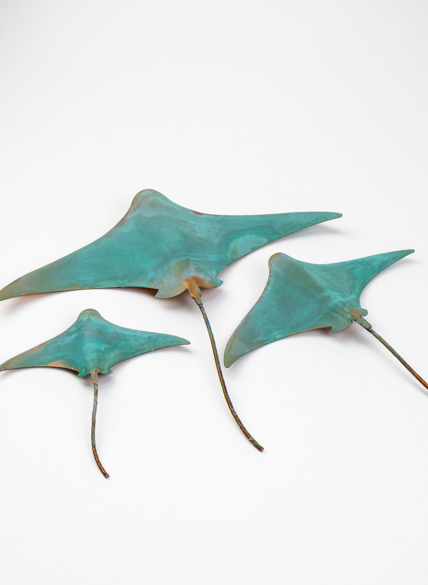 Stingray - Set of 3