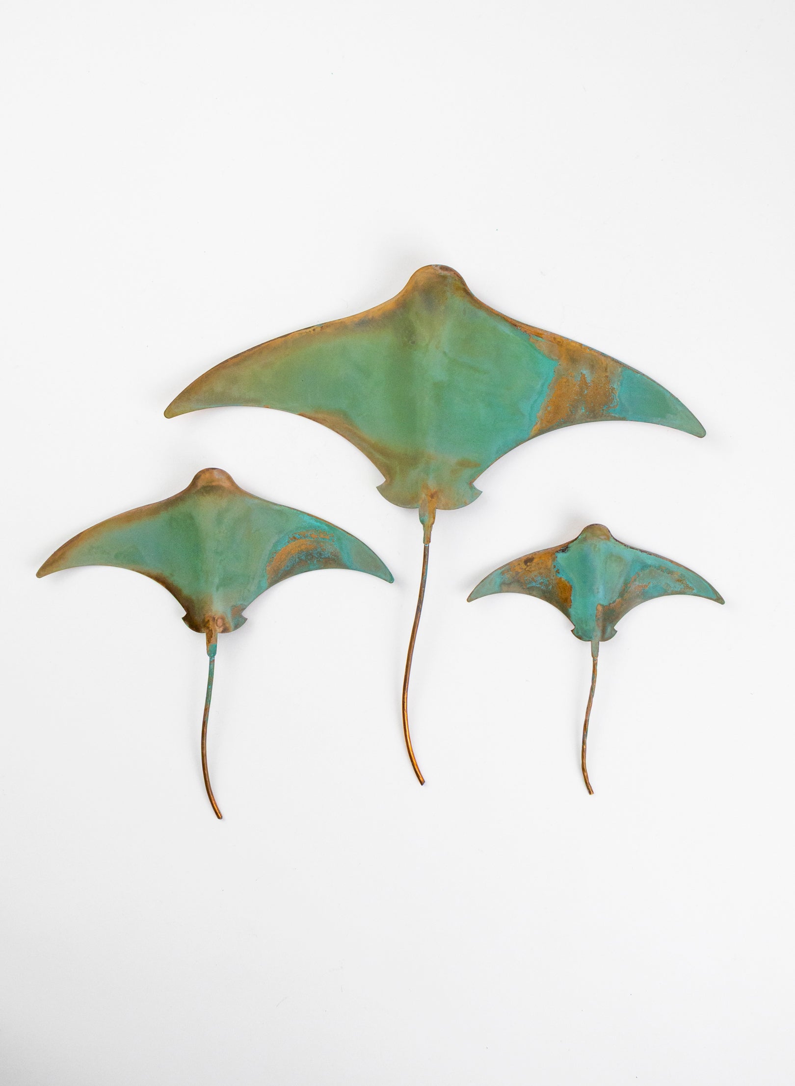 Stingray - Set of 3