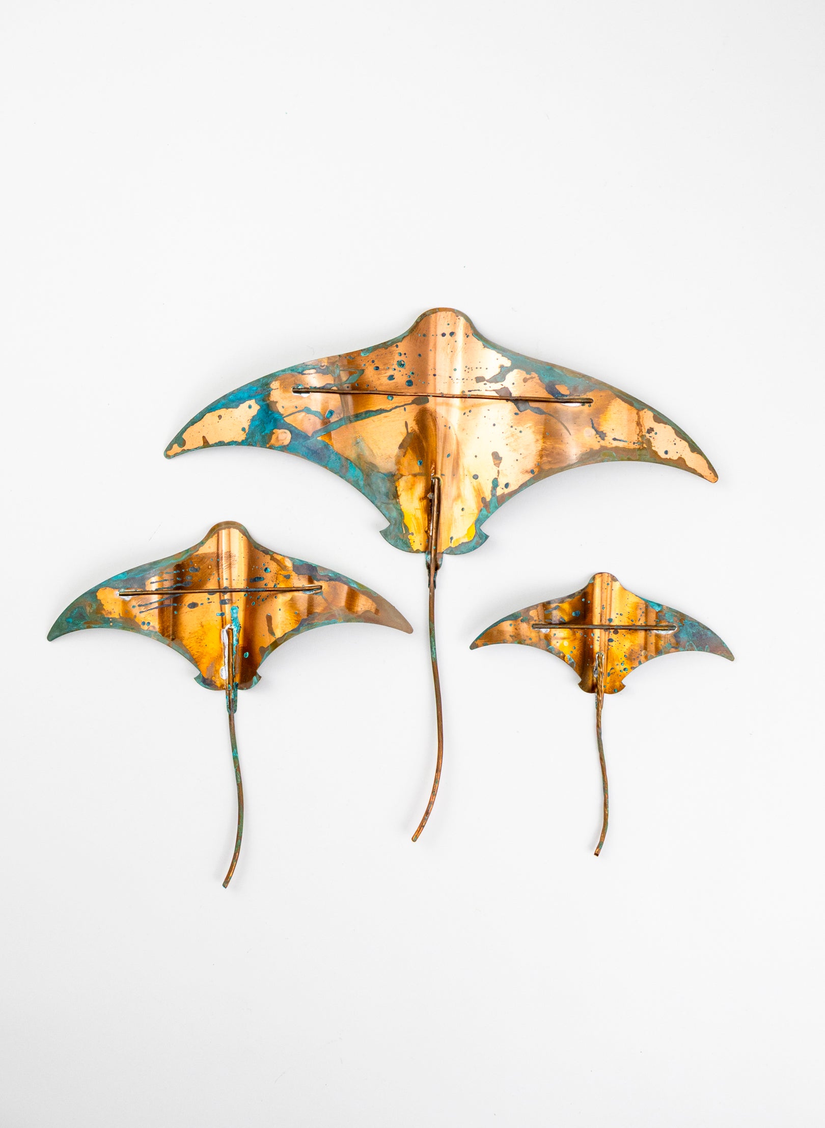 Stingray - Set of 3