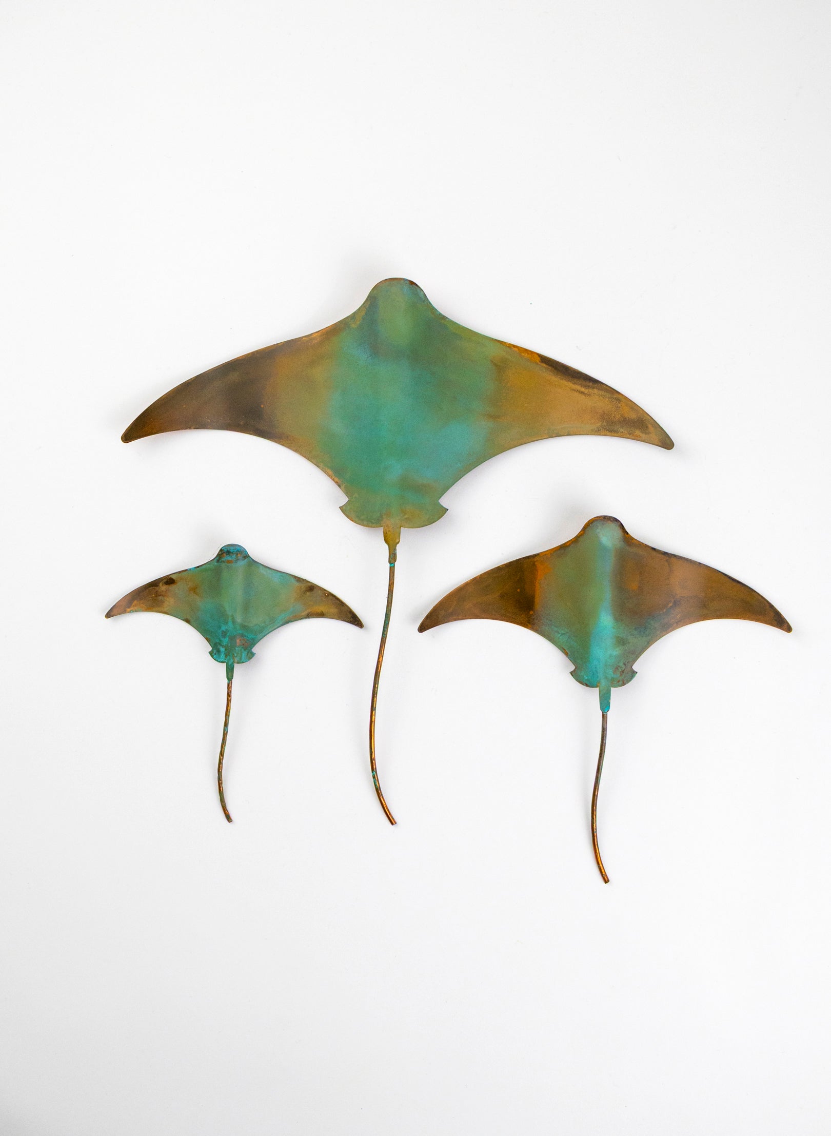Stingray - Set of 3