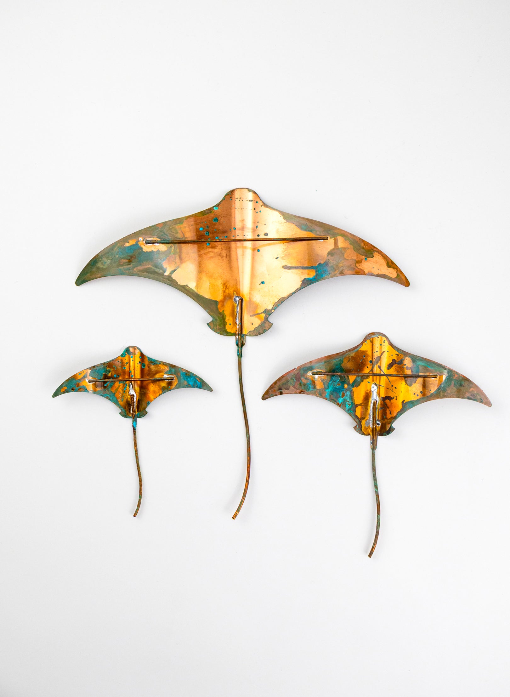 Stingray - Set of 3