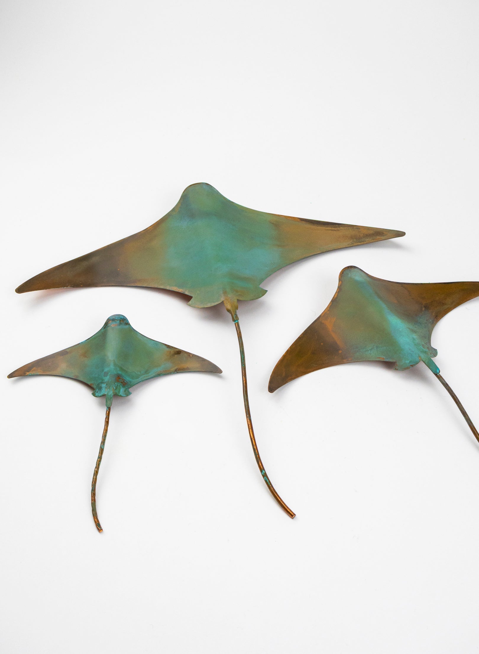 Stingray - Set of 3