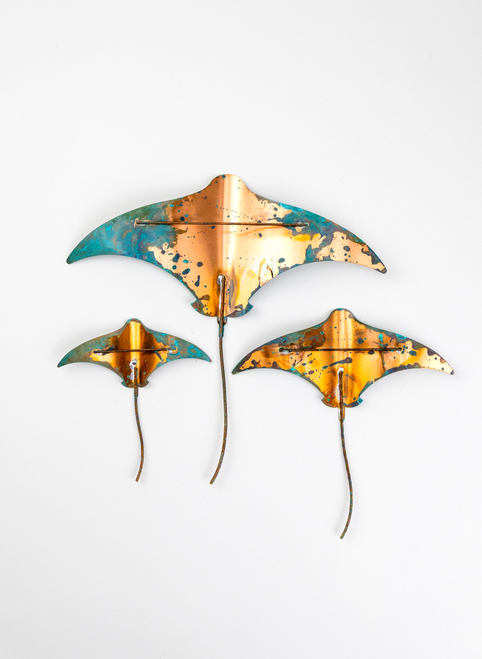Stingray - Set of 3