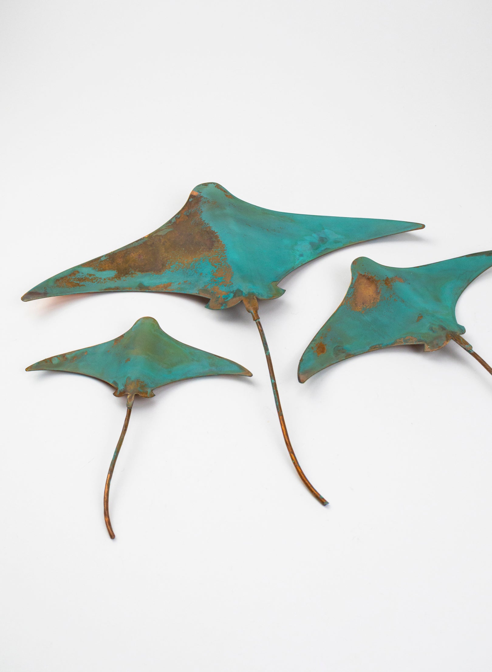 Stingray - Set of 3