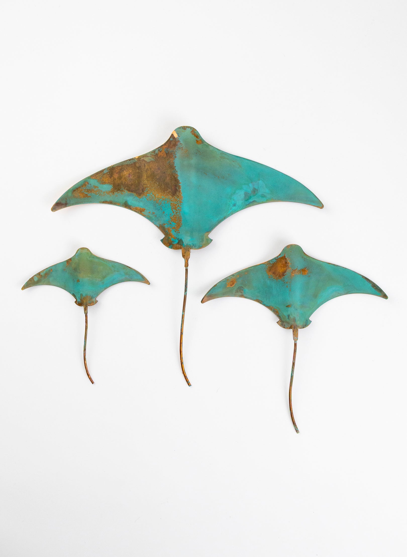 Stingray - Set of 3