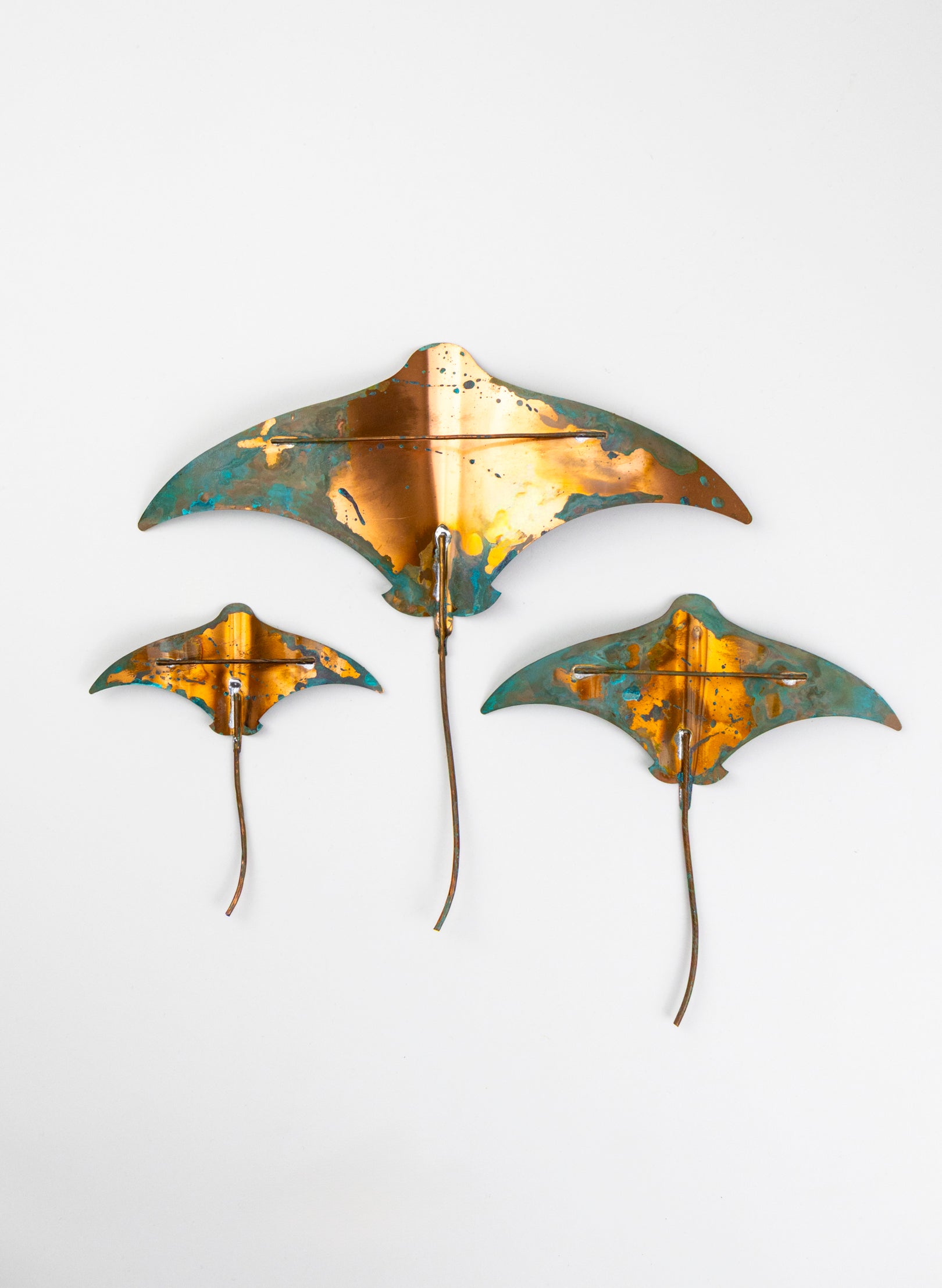 Stingray - Set of 3