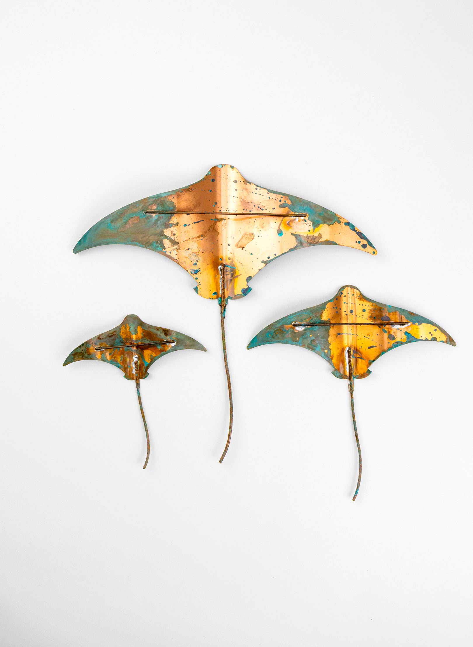 Stingray - Set of 3