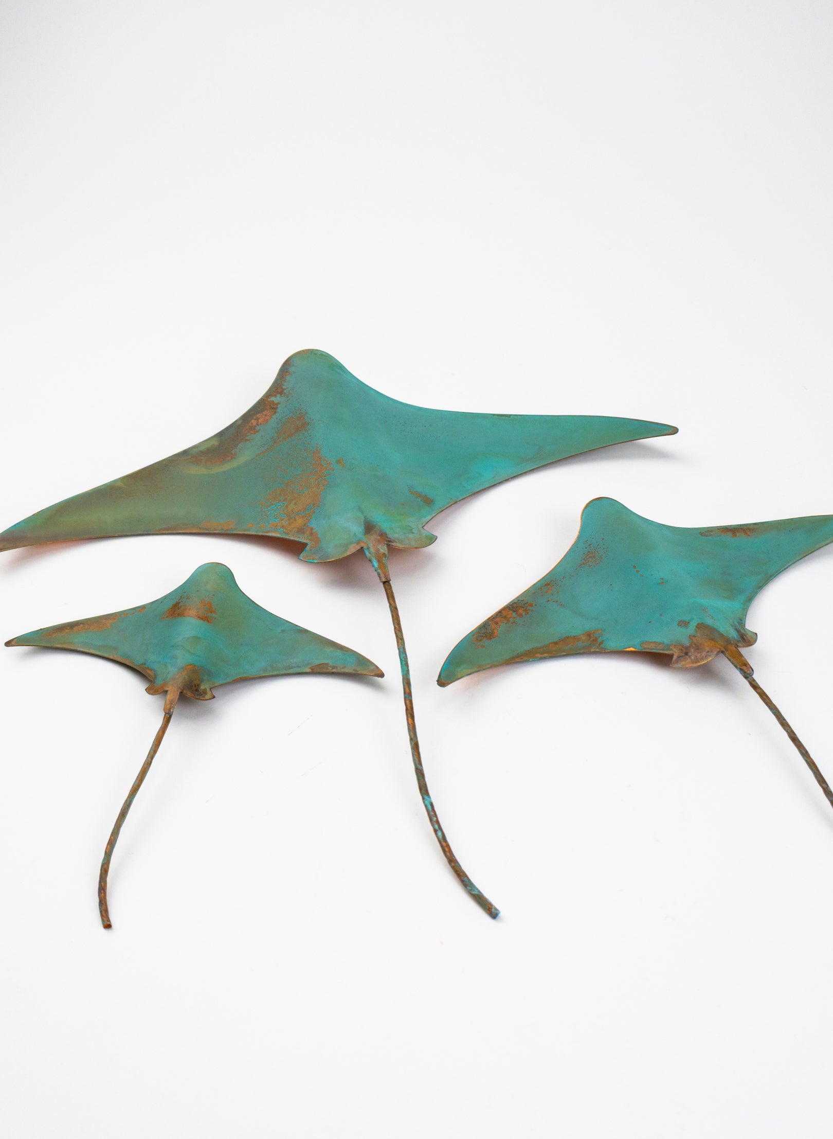 Stingray - Set of 3