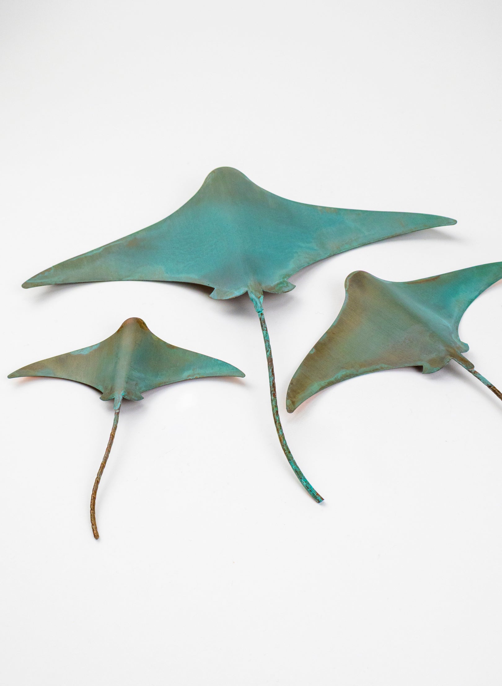 Stingray - Set of 3