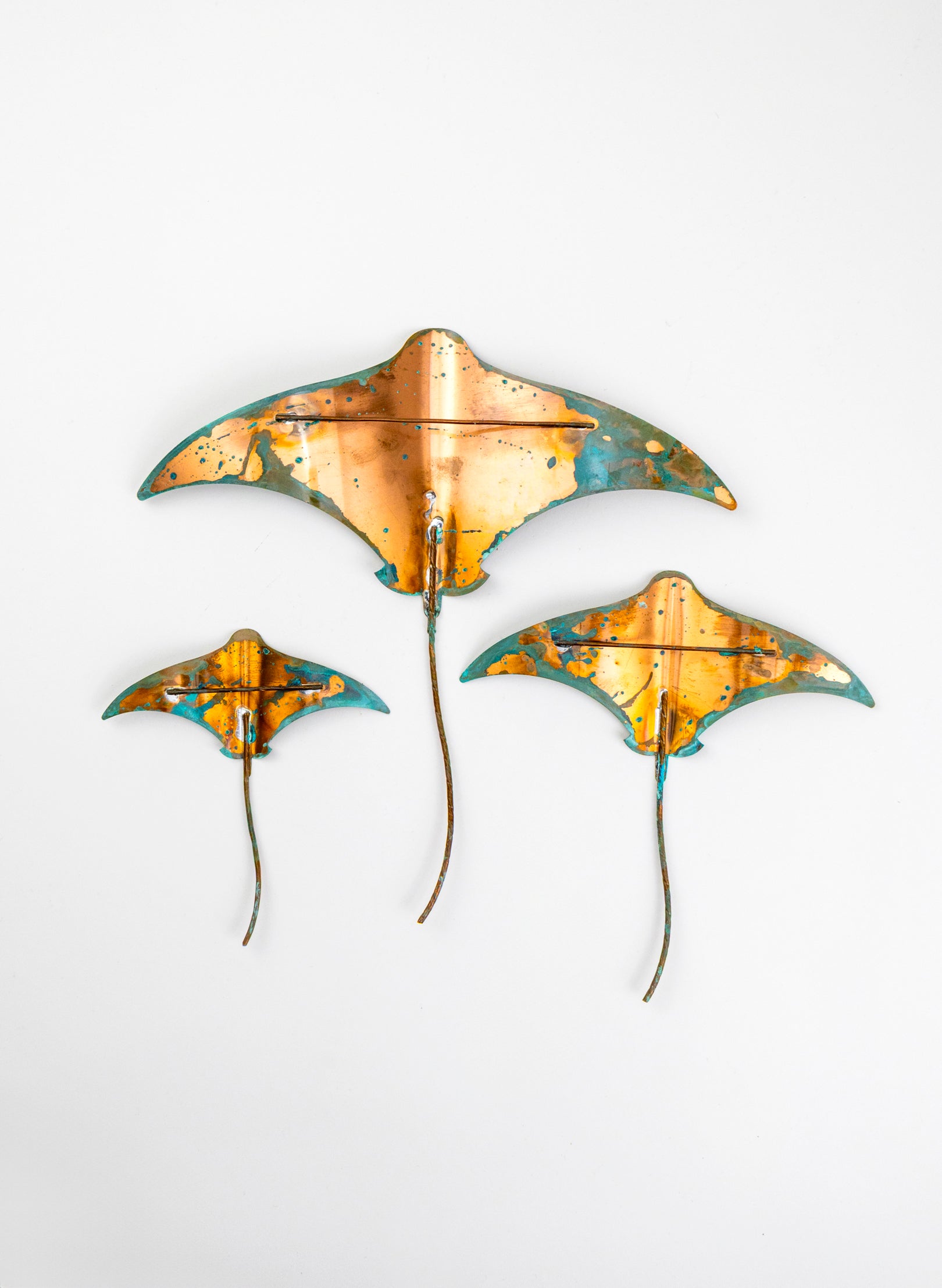 Stingray - Set of 3