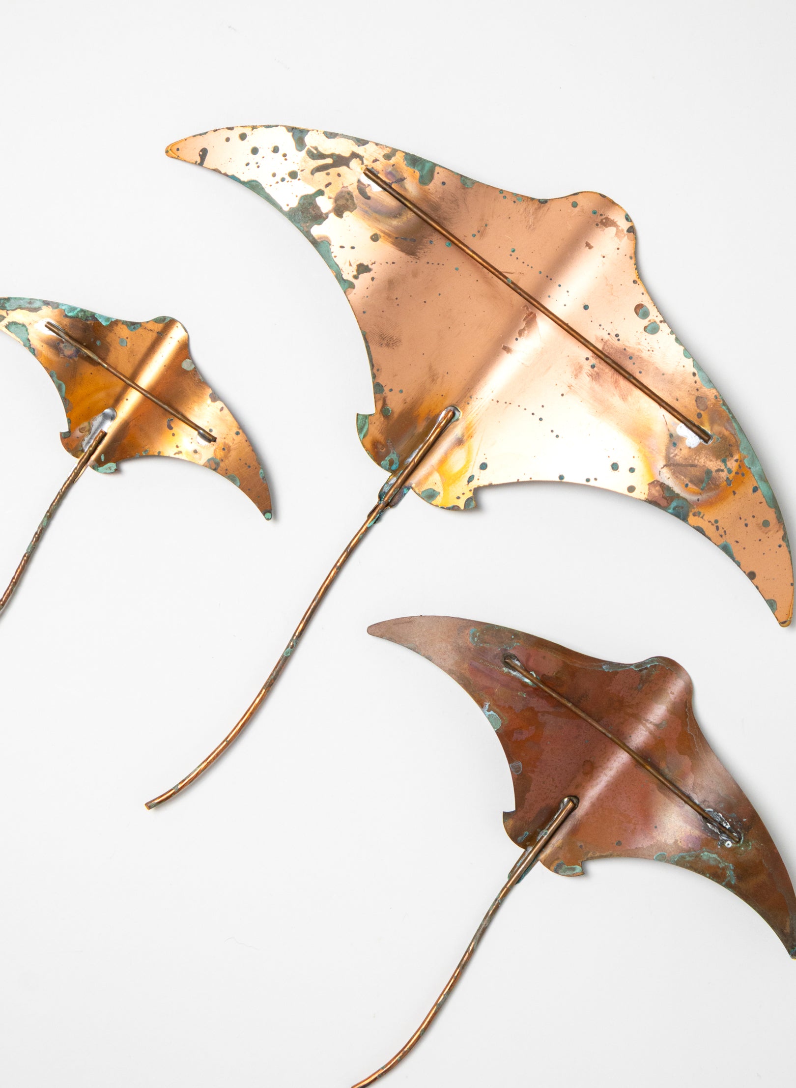 Stingray - Set of 3