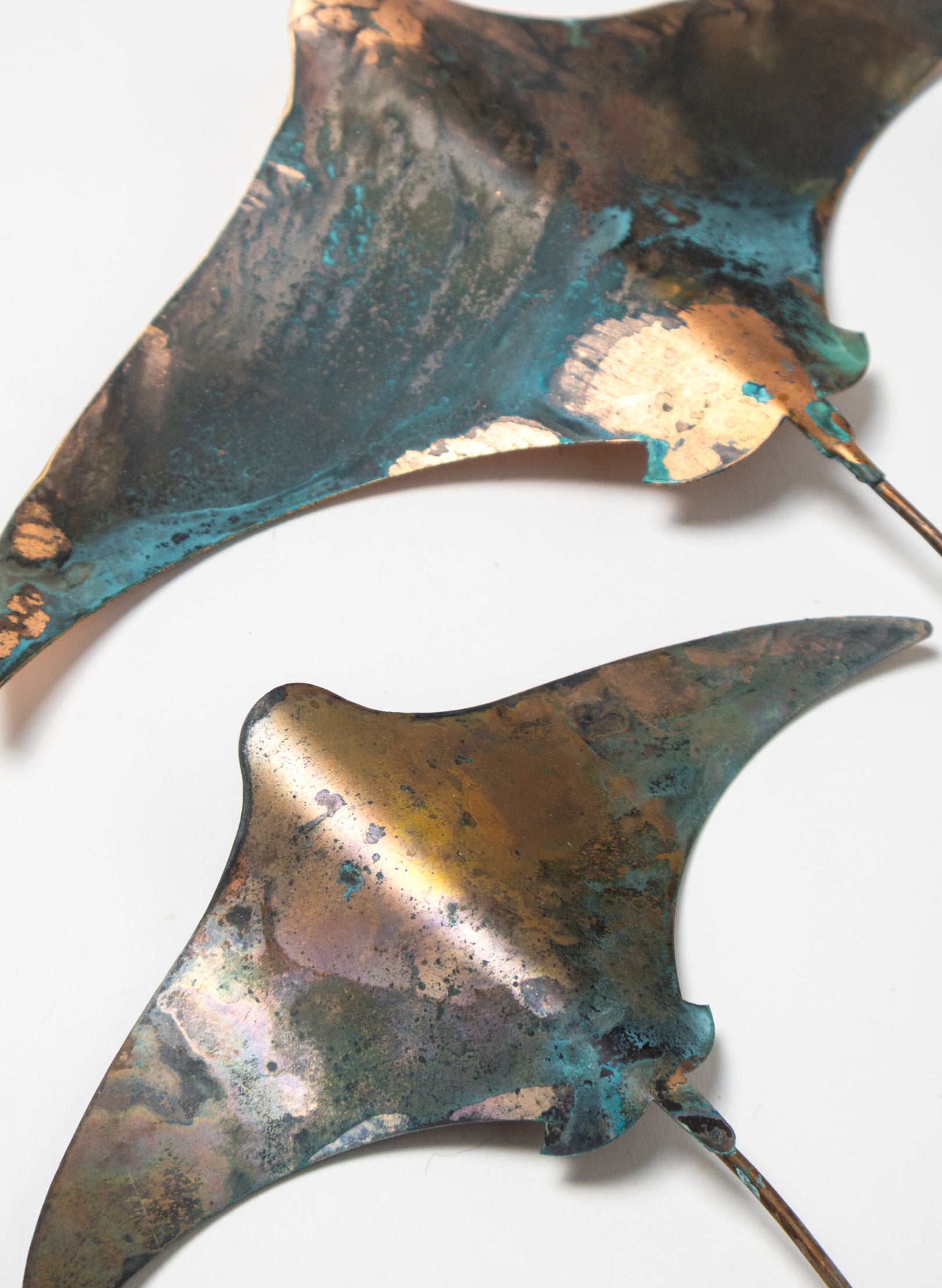 Stingray - Set of 3