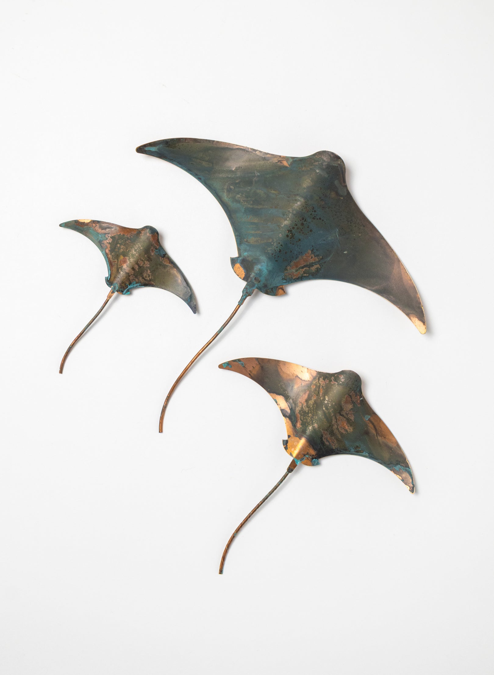 Stingray - Set of 3