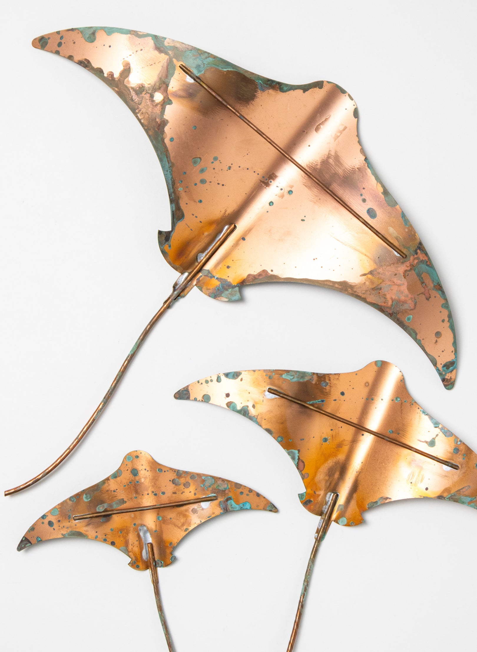 Stingray - Set of 3