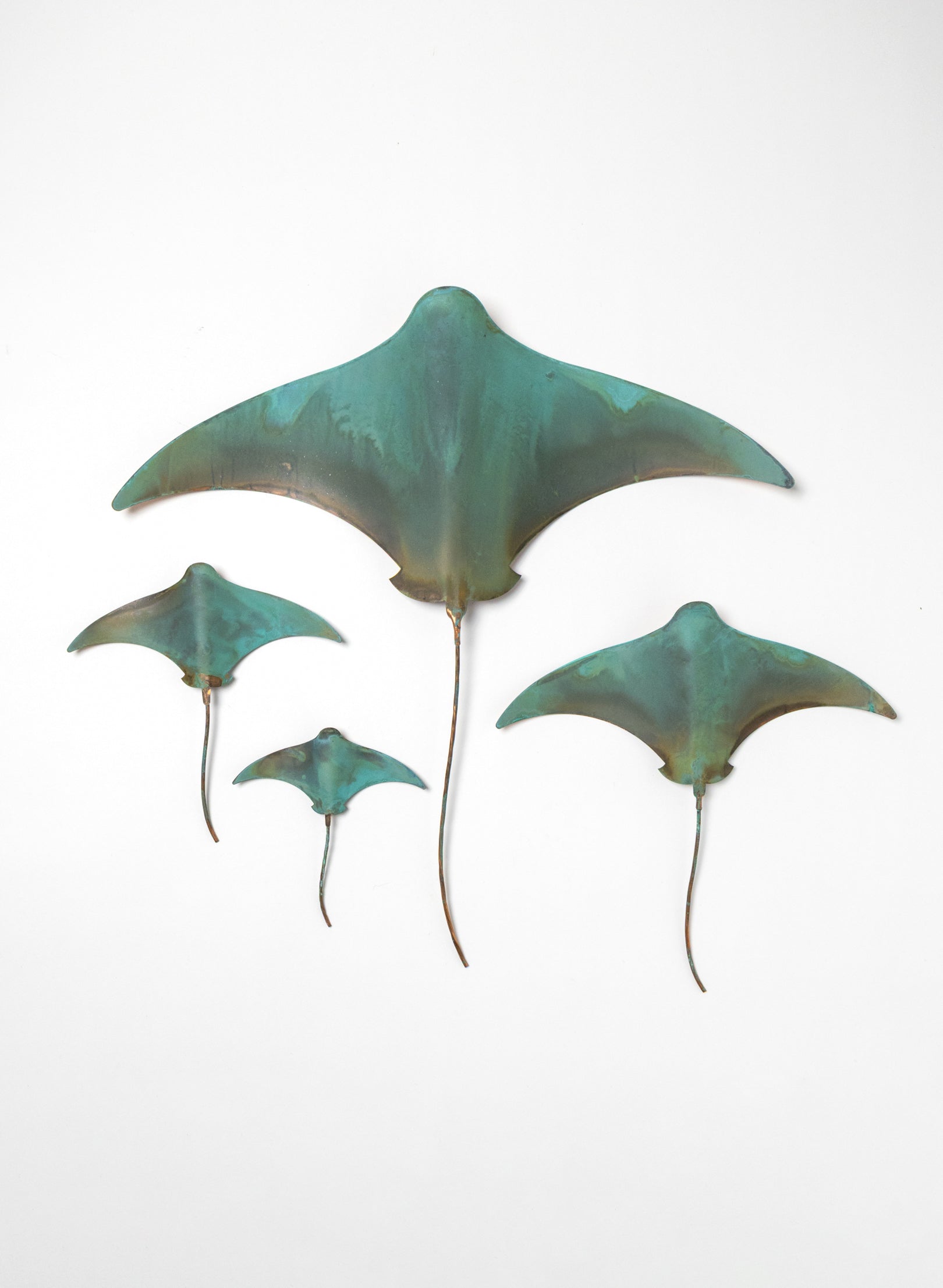 Stingray - Set of 4