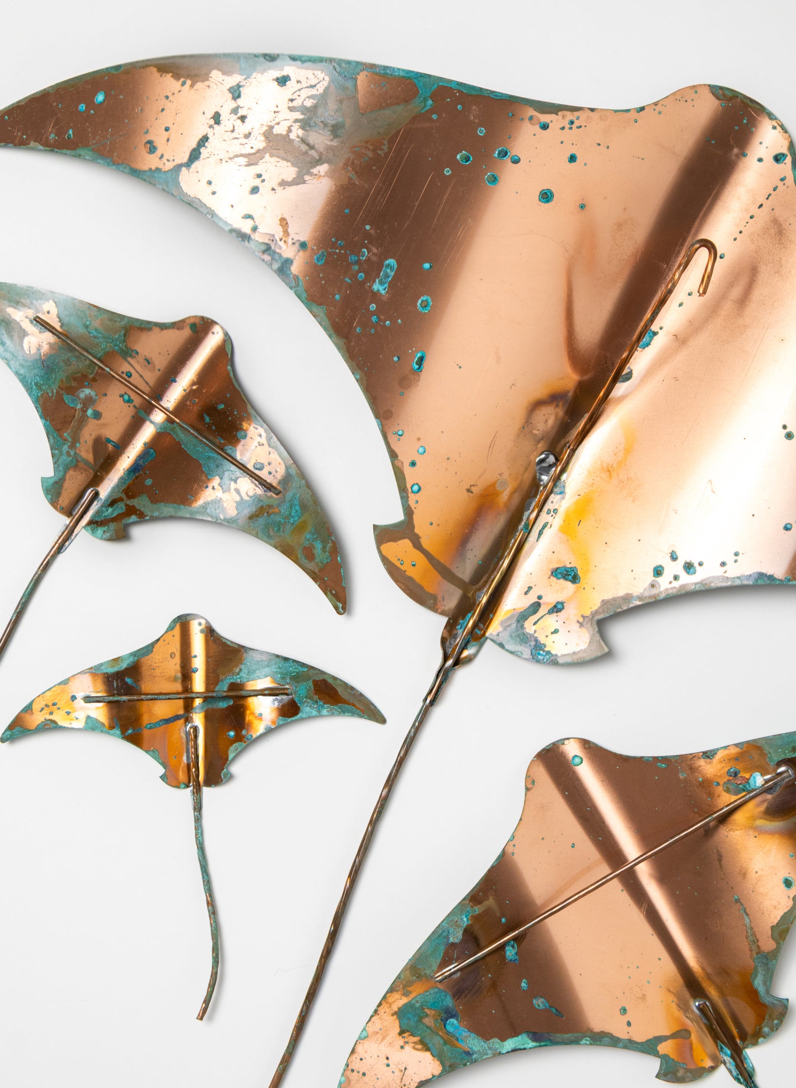 Stingray - Set of 4