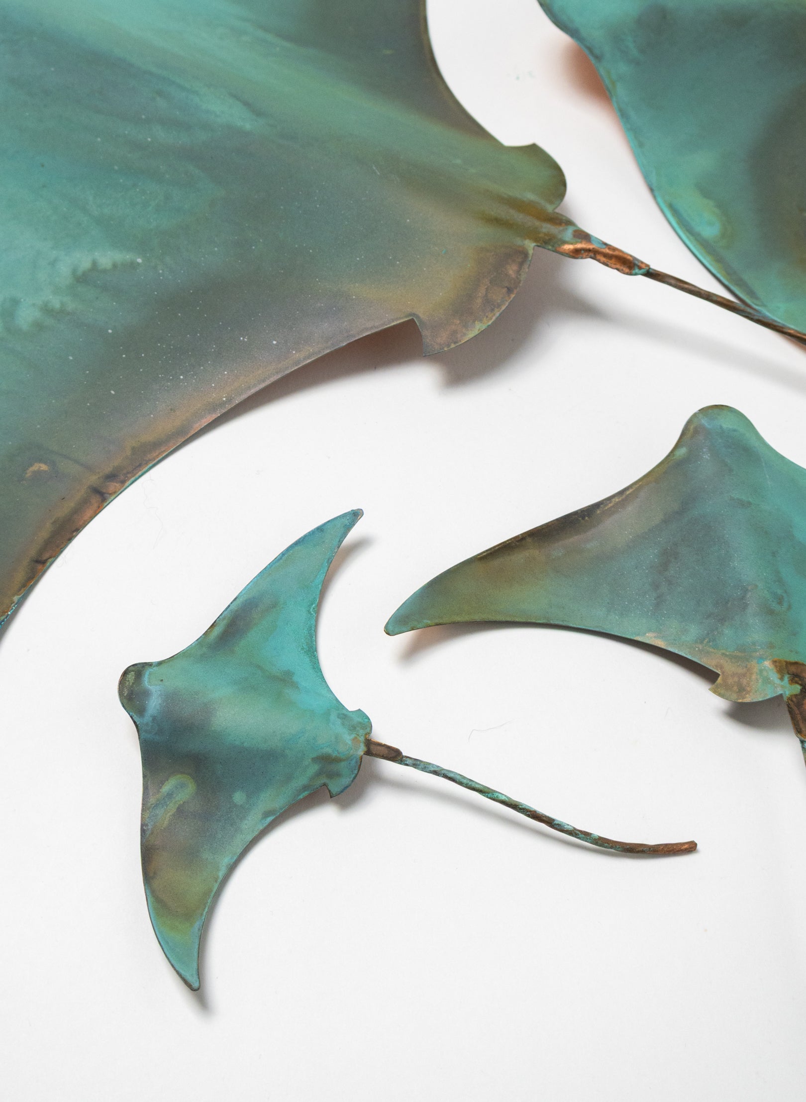 Stingray - Set of 4