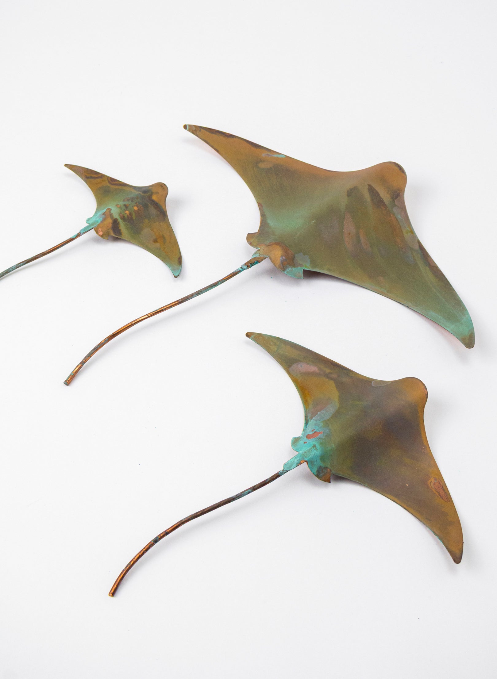 Stingray - Set of 3