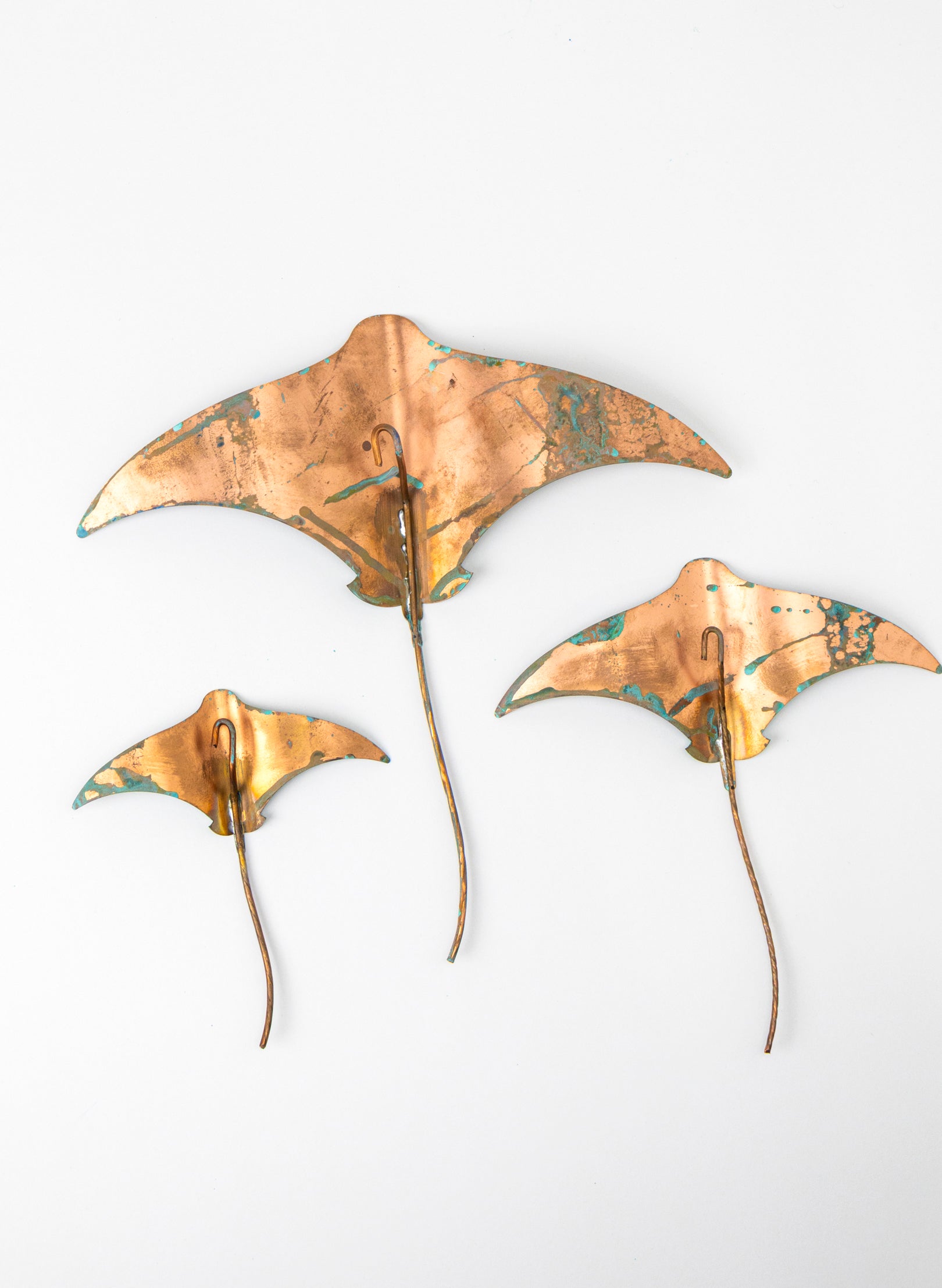 Stingray - Set of 3