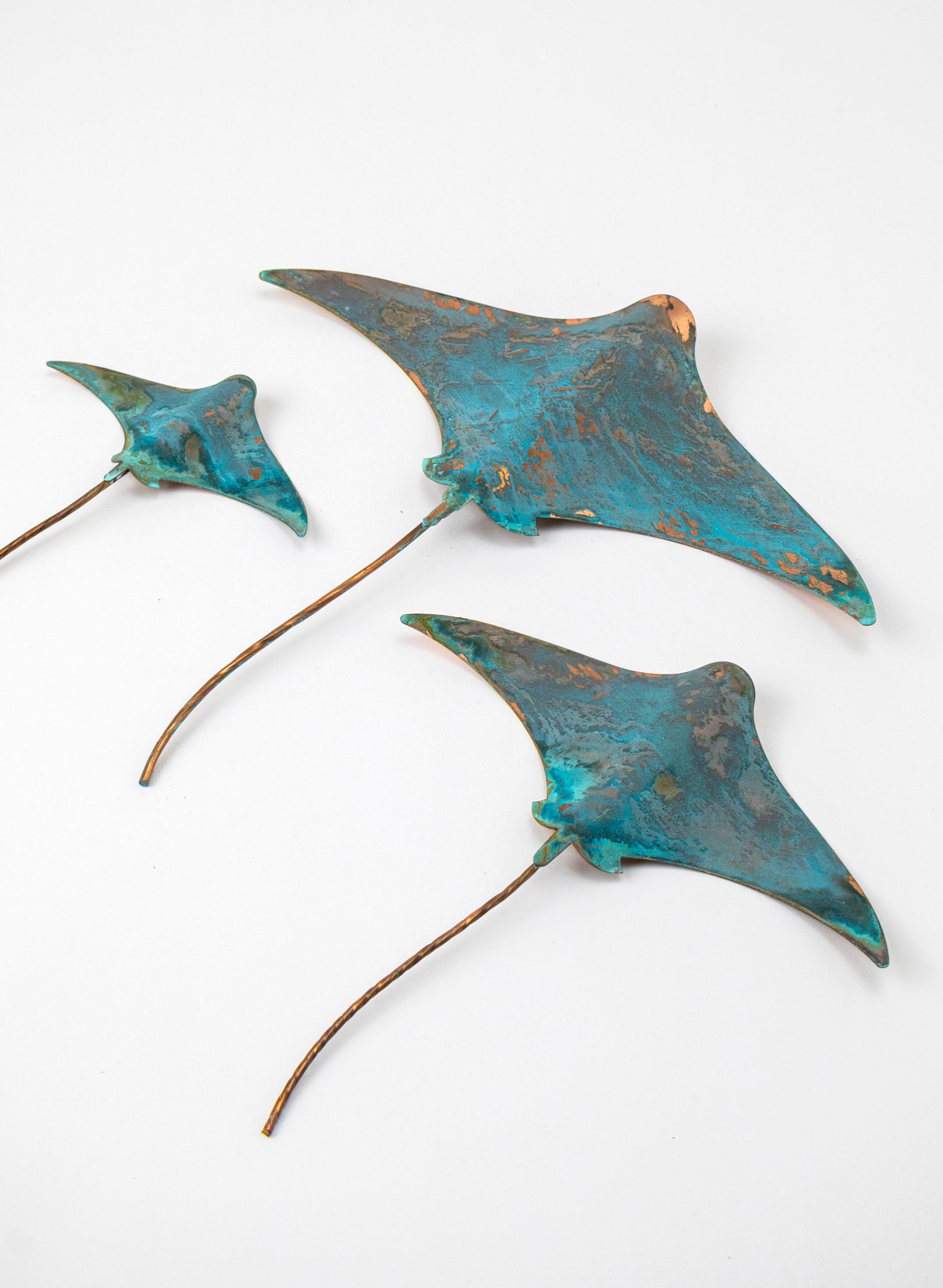Stingray - Set of 3