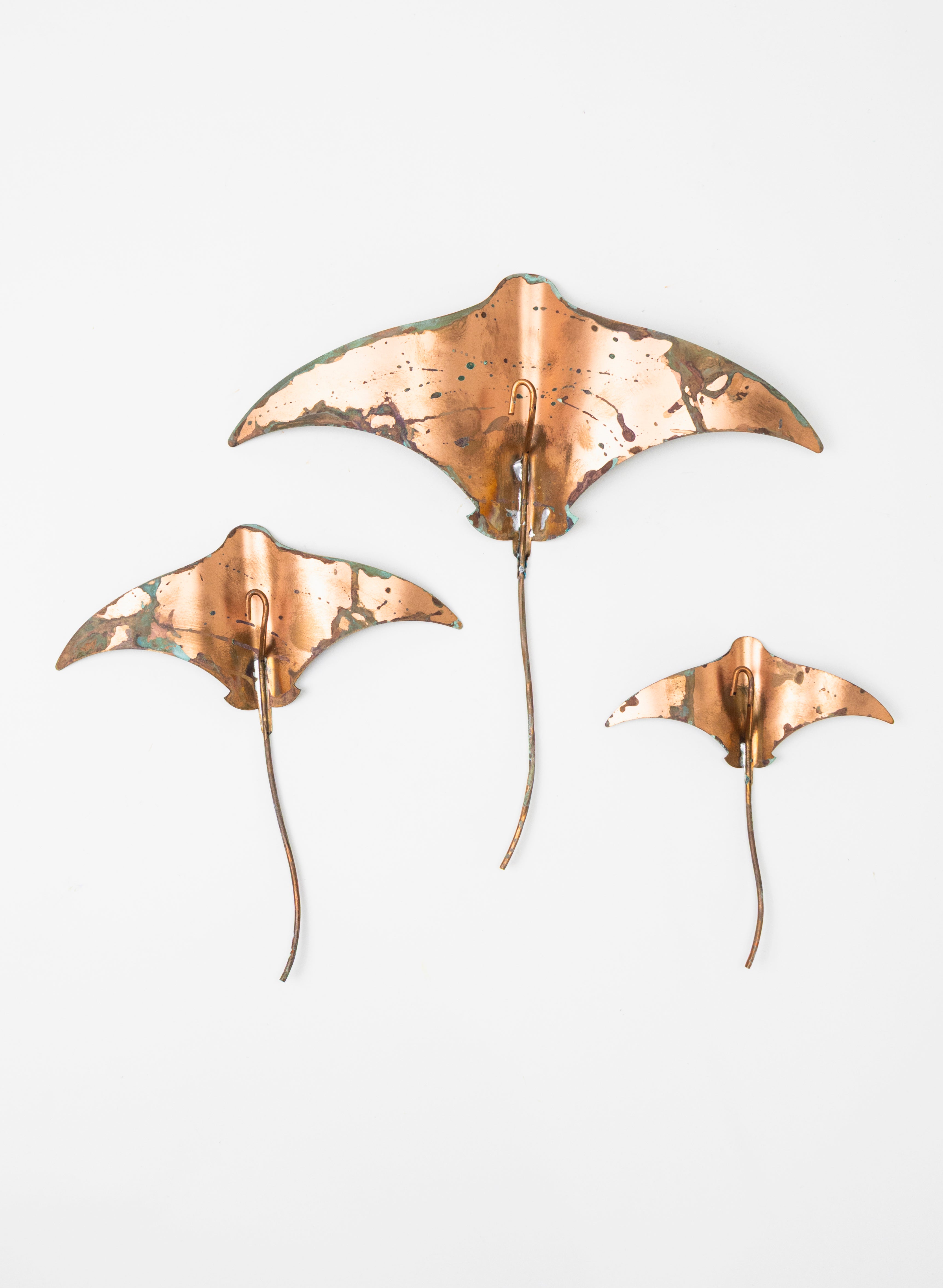 Stingray - Set of 3