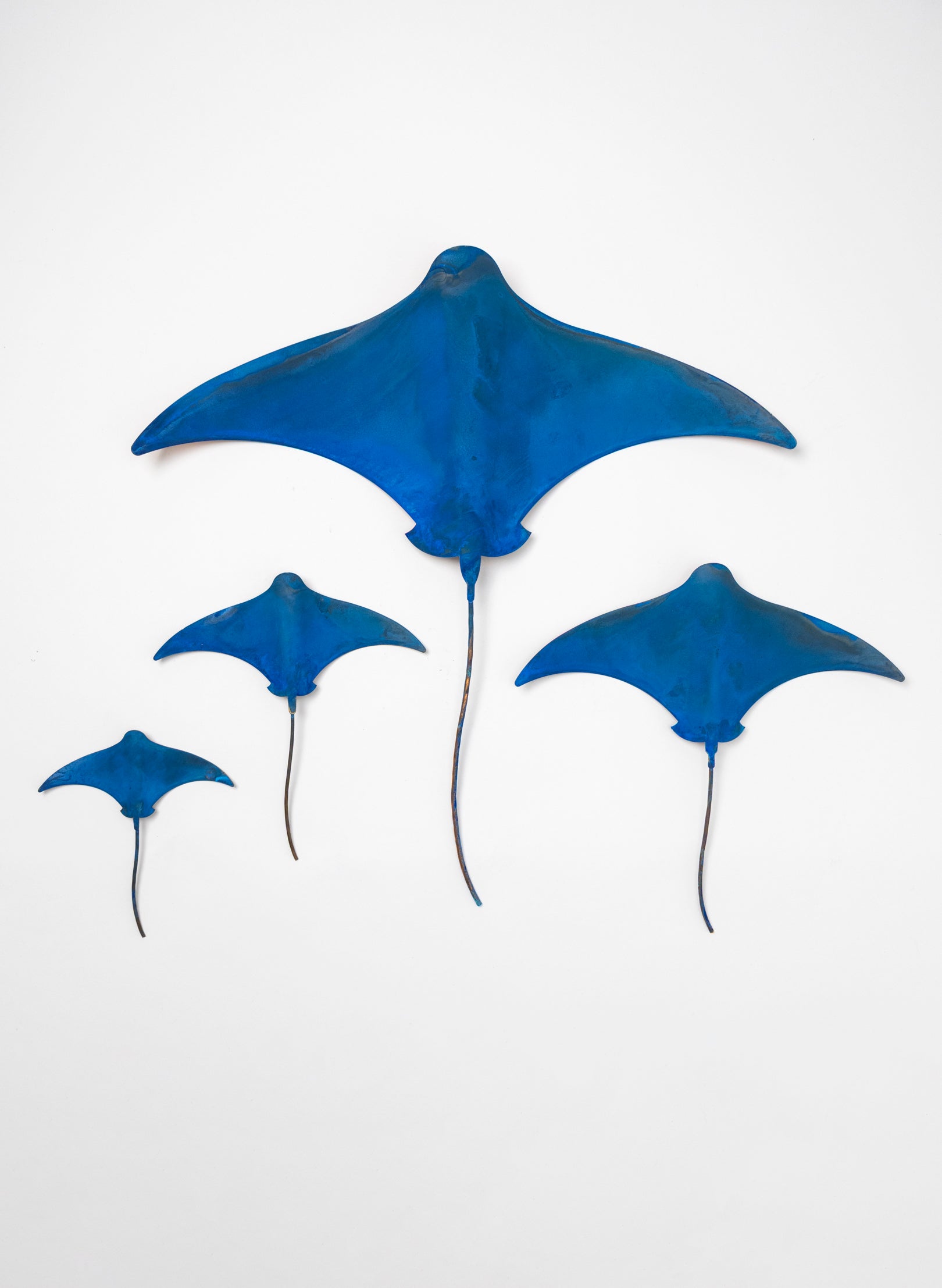 Stingray - Set of 4