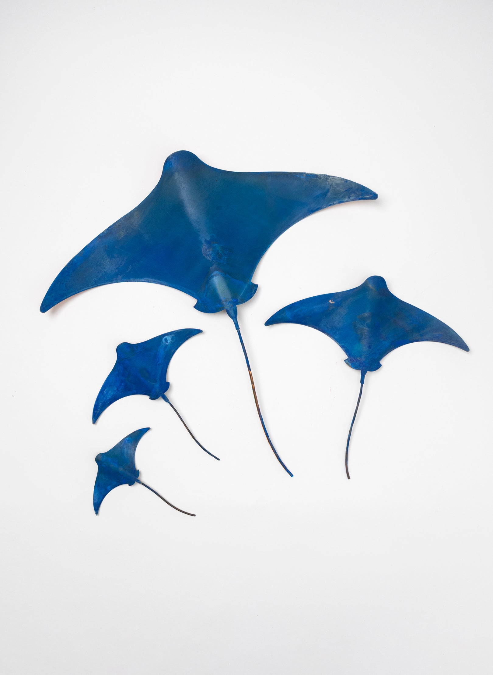 Stingray - Set of 4