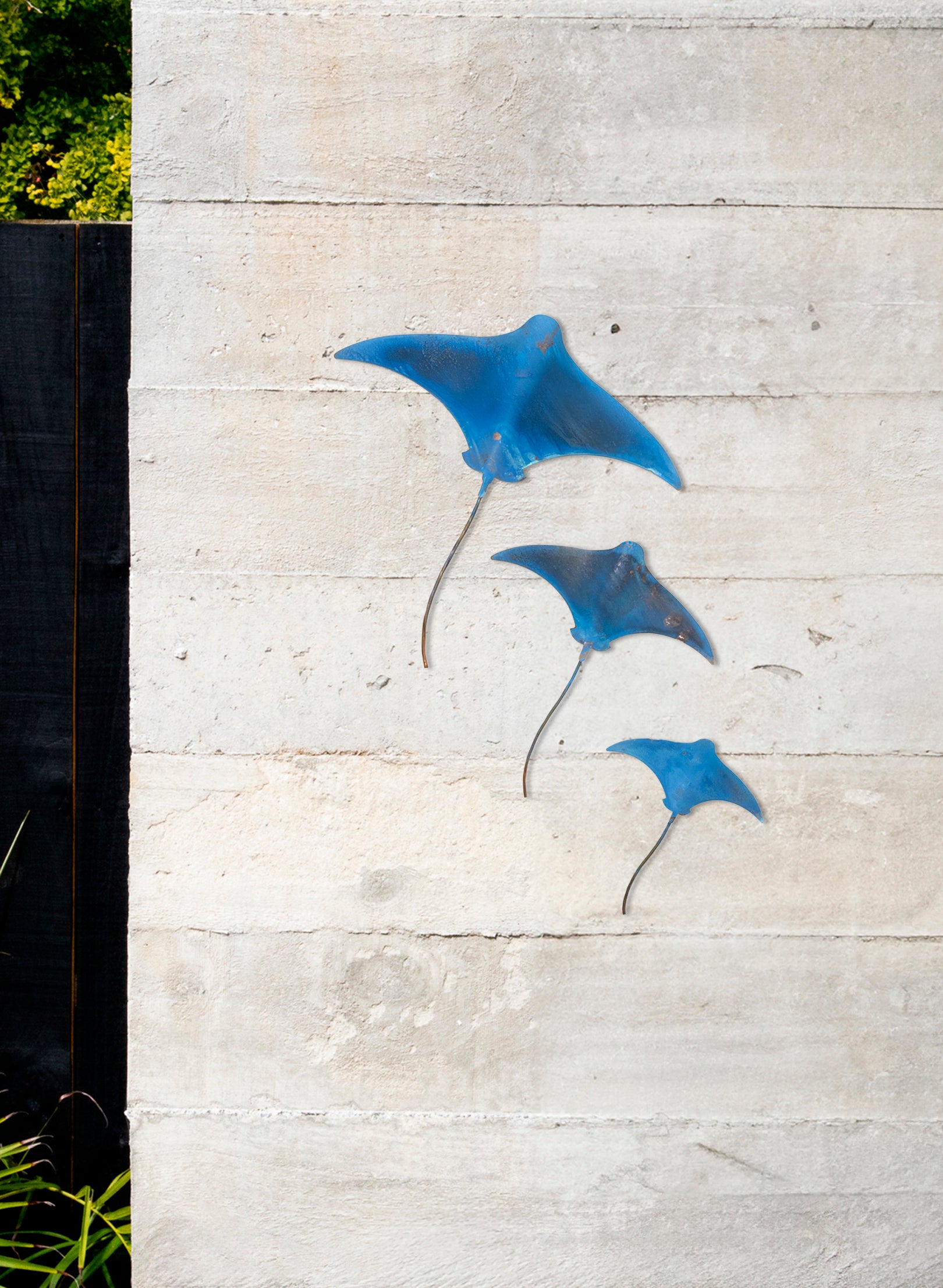 Manta Ray - Set of 3