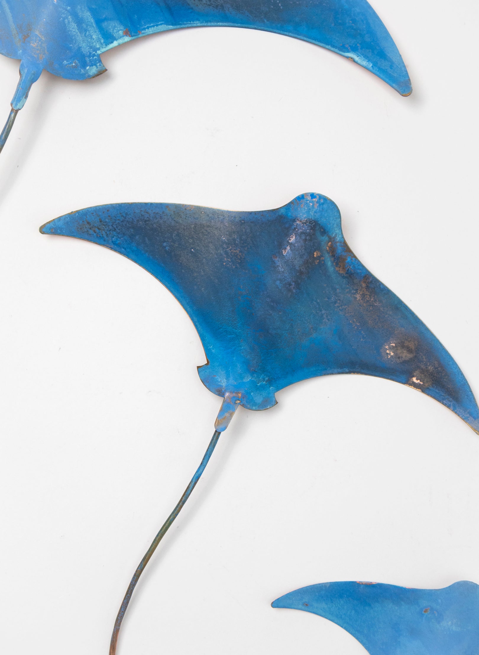 Manta Ray - Set of 3