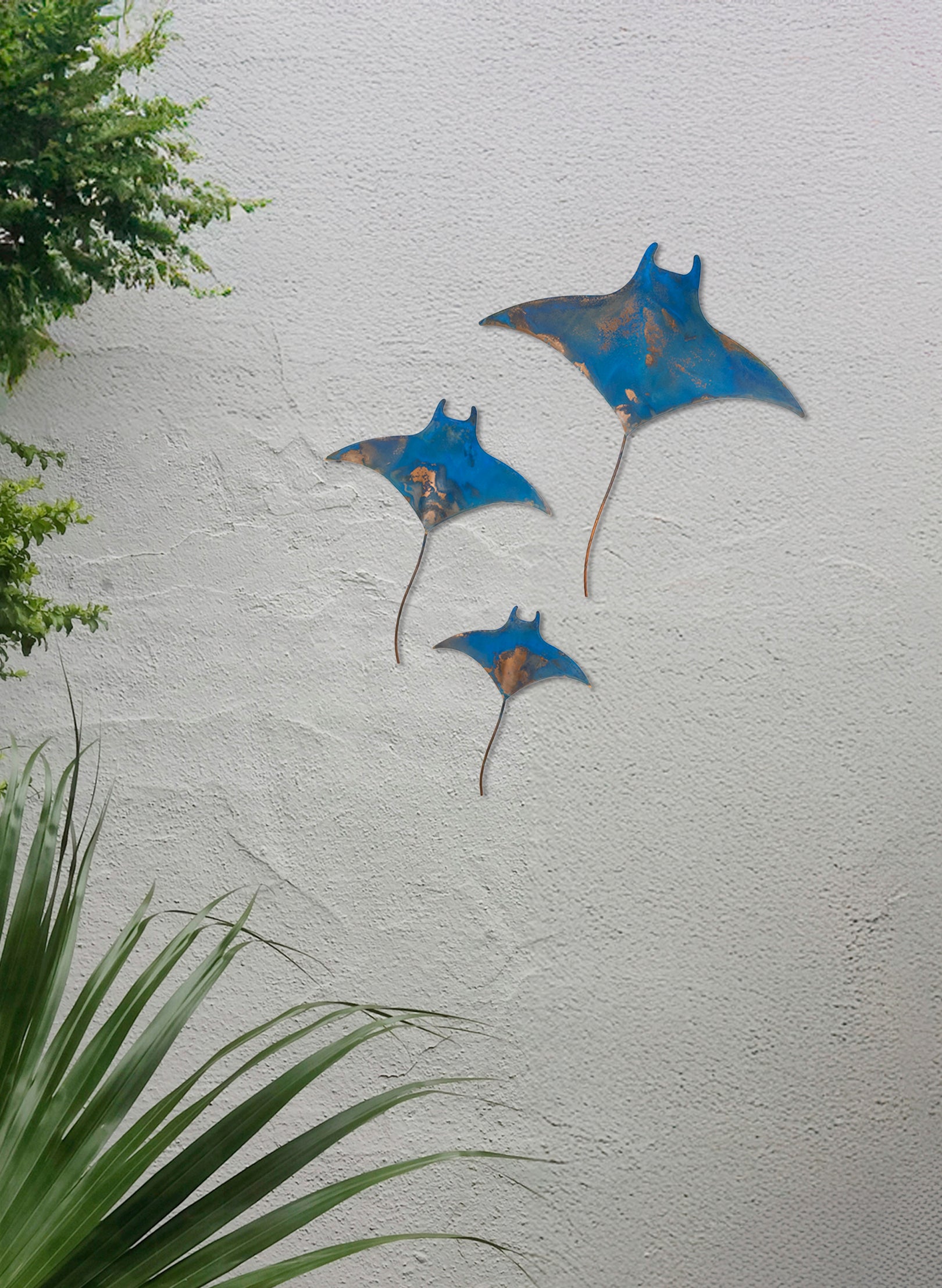 Manta Ray - Set of 3