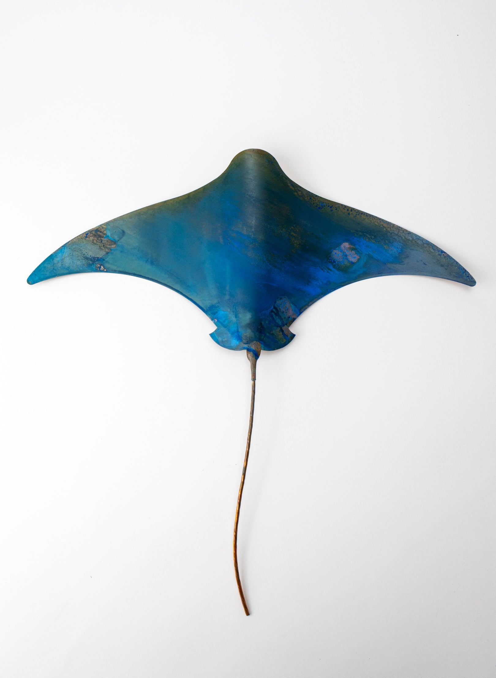 Stingray - XL
