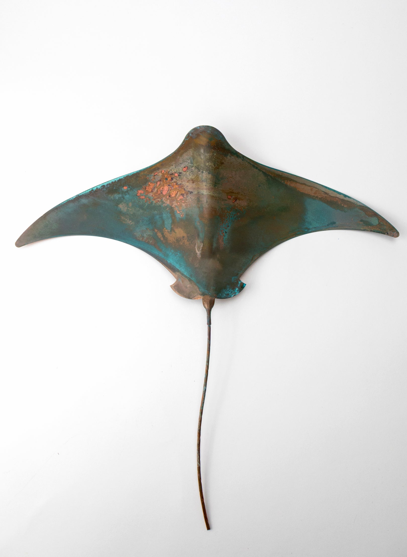 Stingray - XL