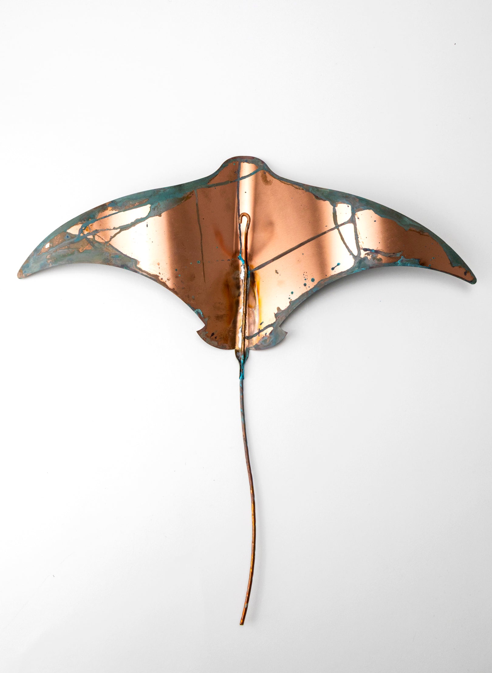 Stingray - XL