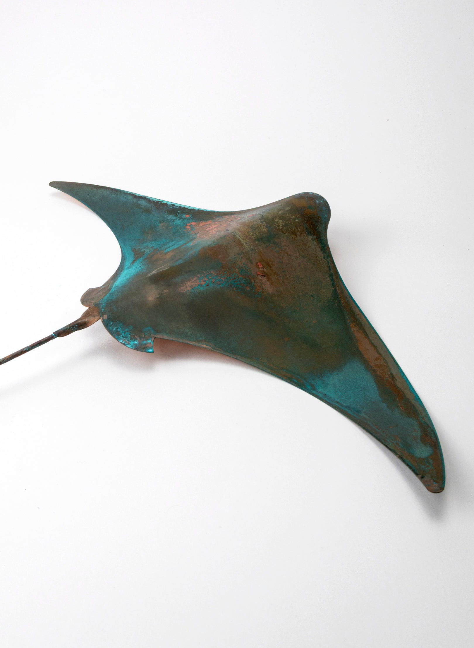Stingray - XL