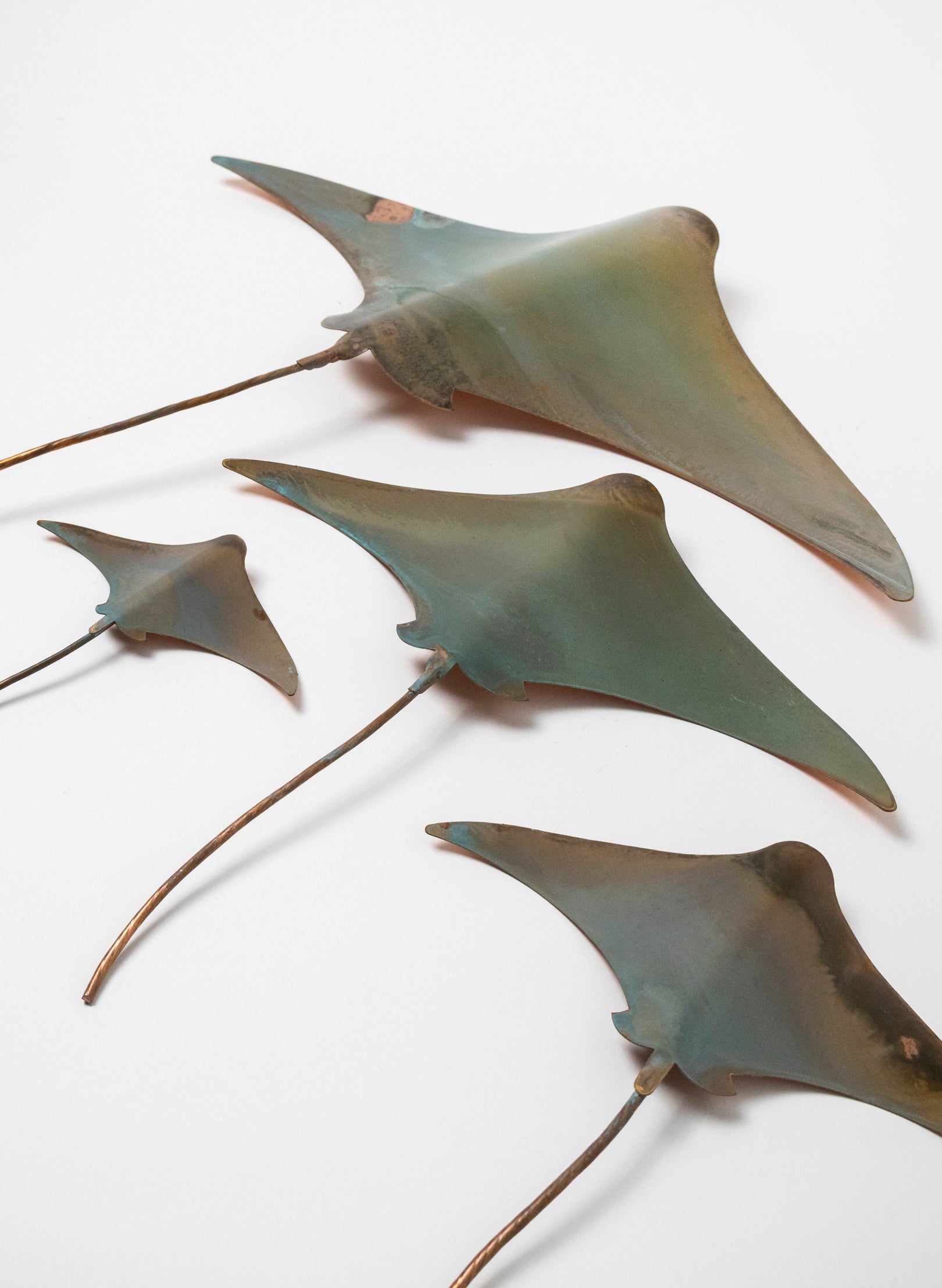 Sting Ray - Set of 4