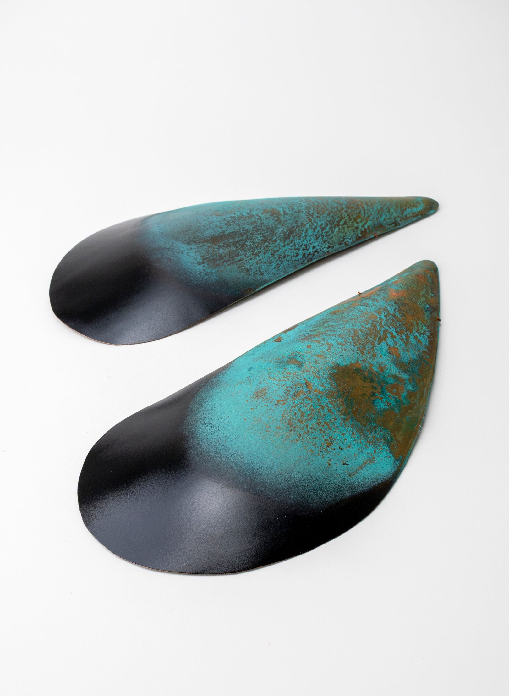 Mussel Pair