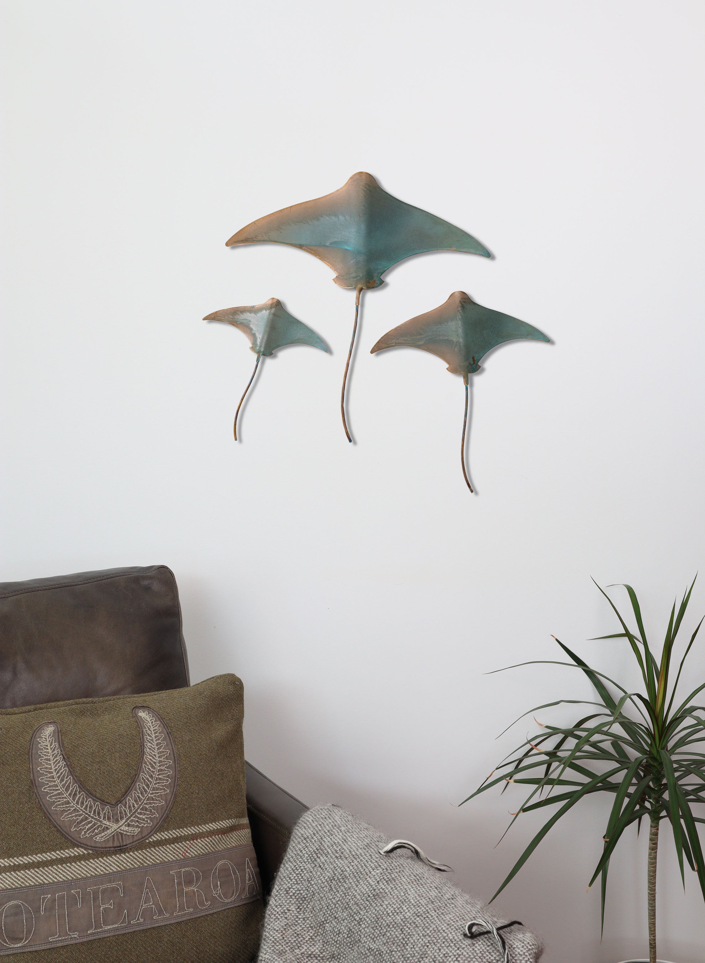 Stingray - Set of 3