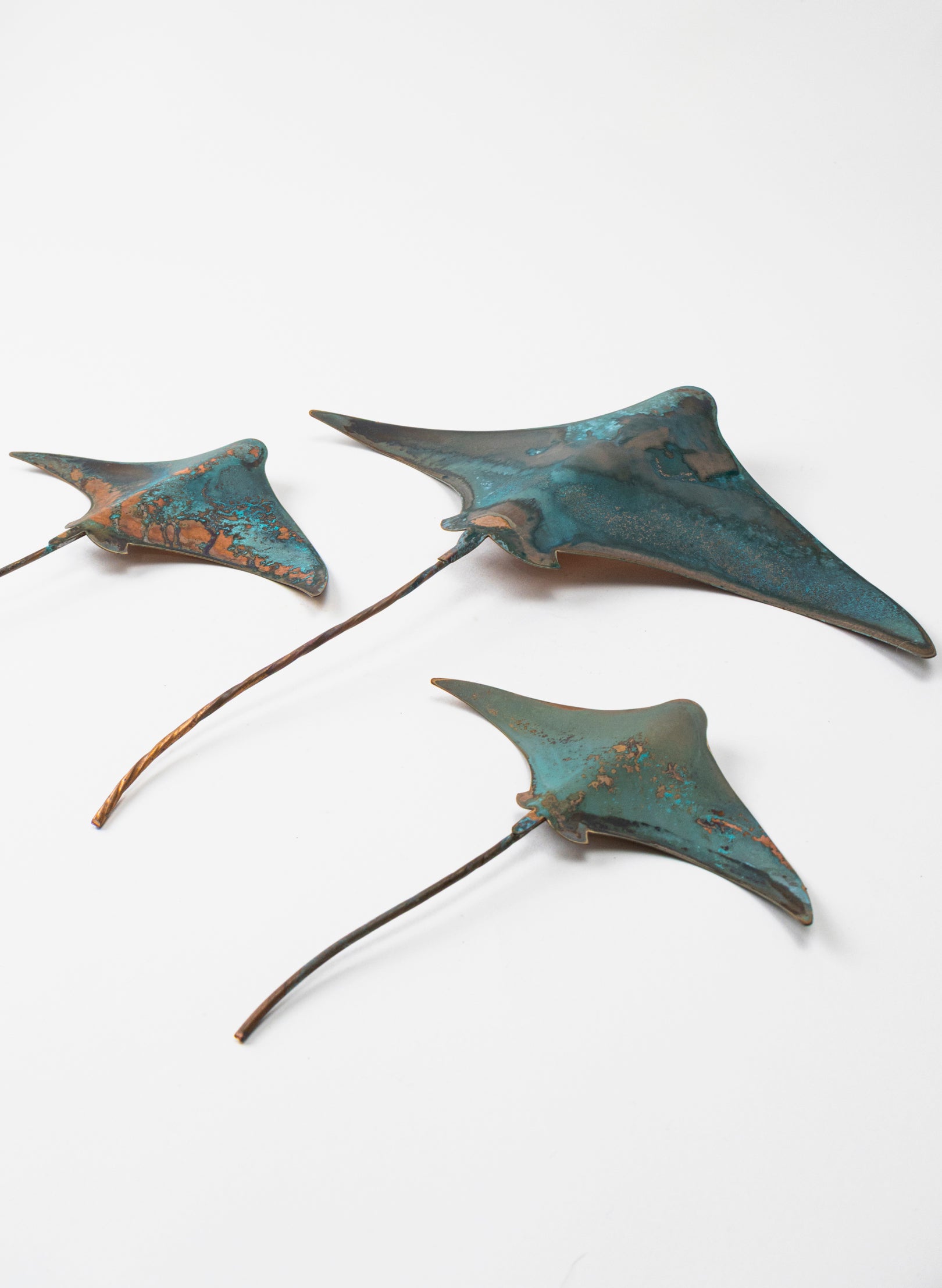 Stingray - Set of 3