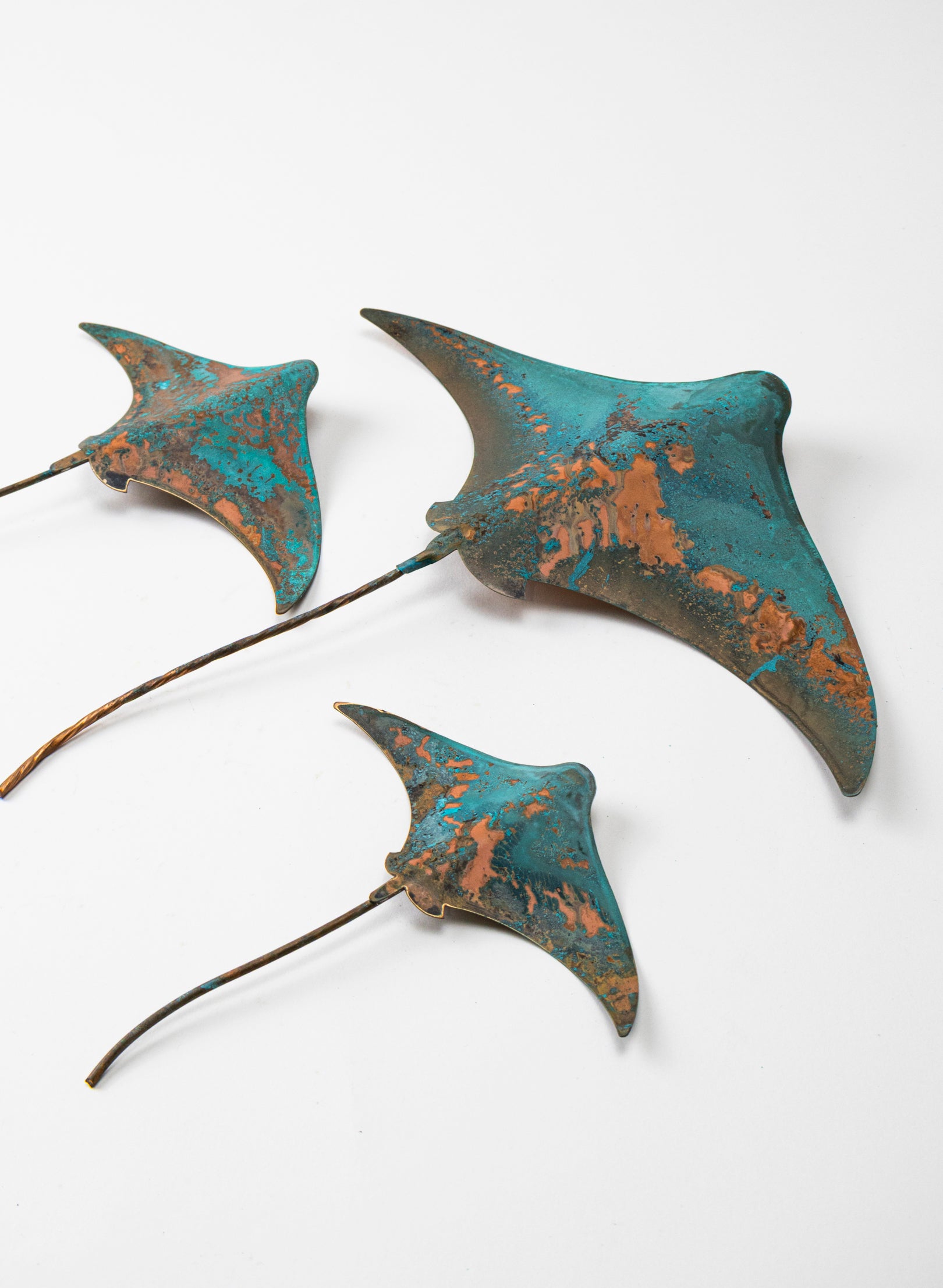 Stingray - Set of 3
