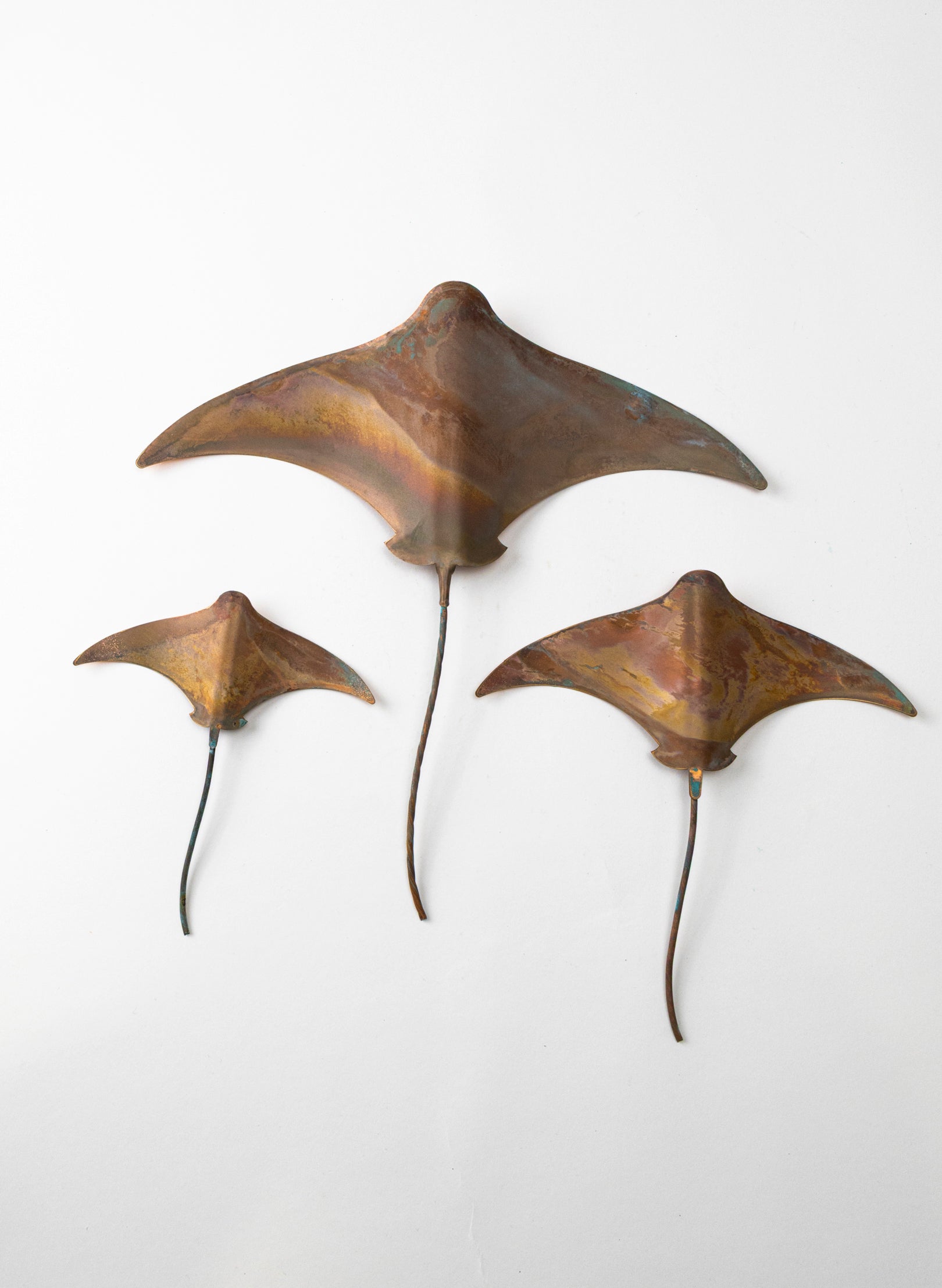 Stingray - Set of 3