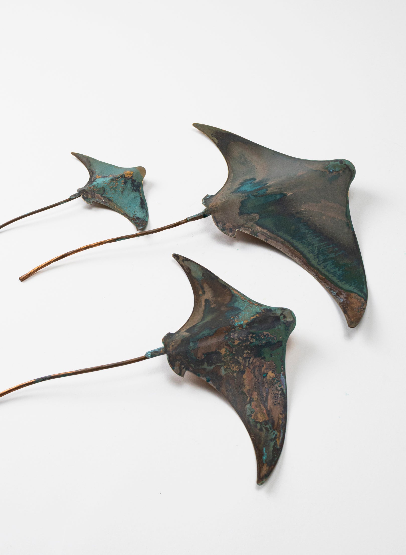 Stingray - Set of 3