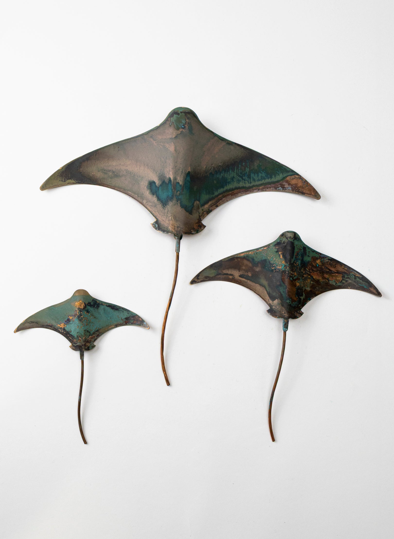 Stingray - Set of 3