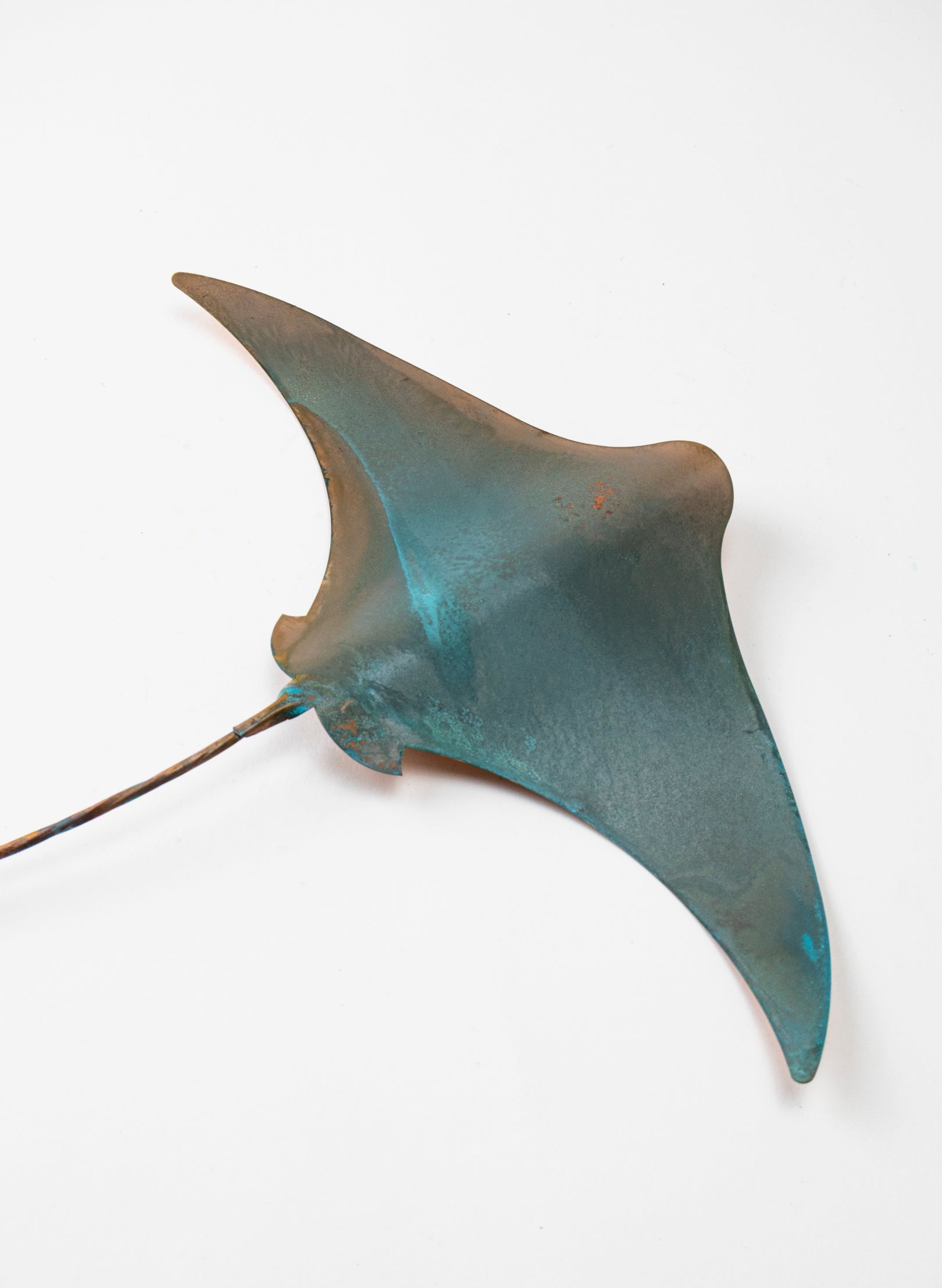 Stingray - Large