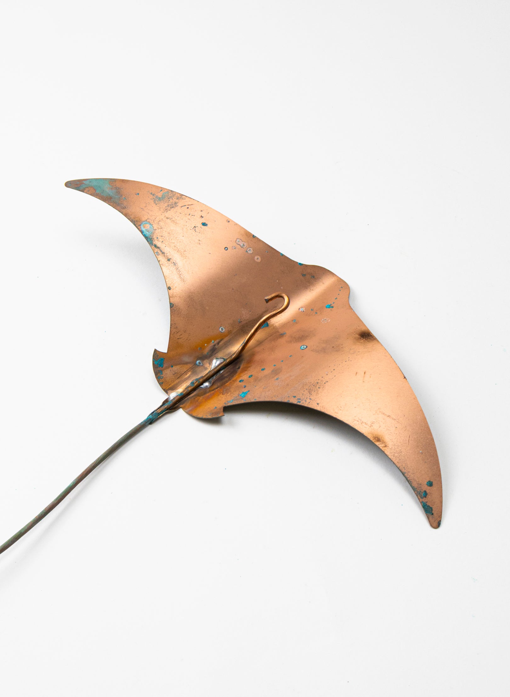 Stingray - Large