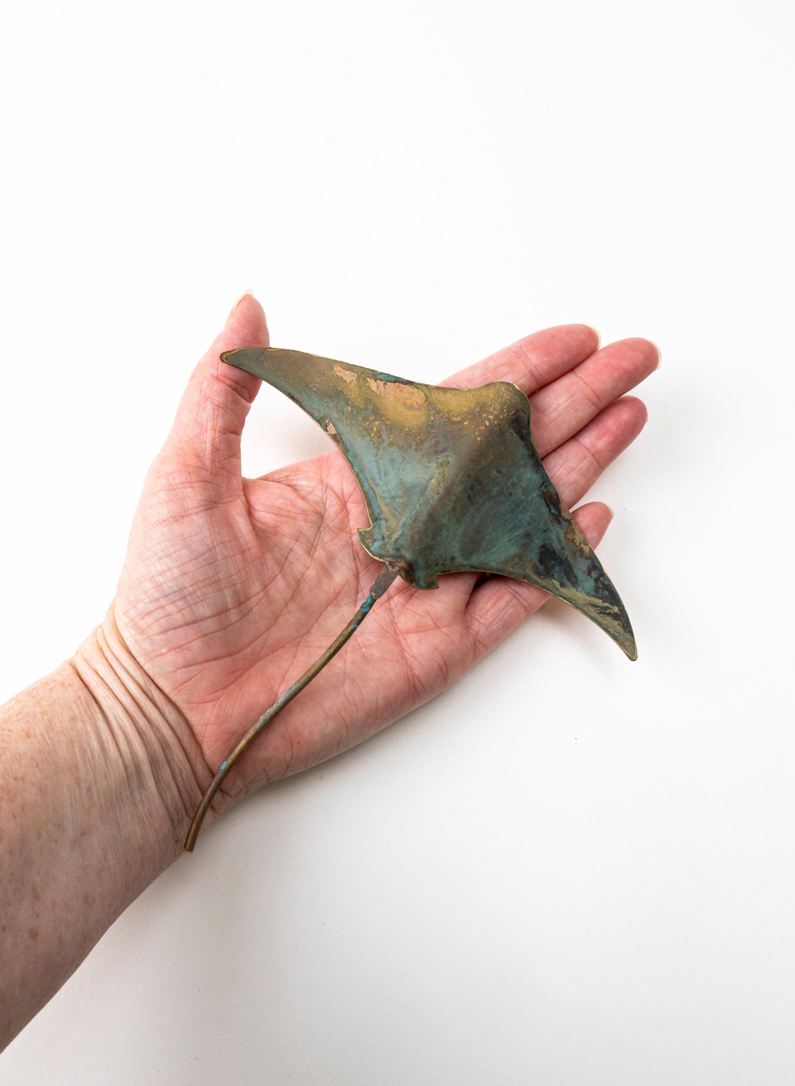 Stingray - Small